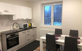 Apartmany U Merkuru
